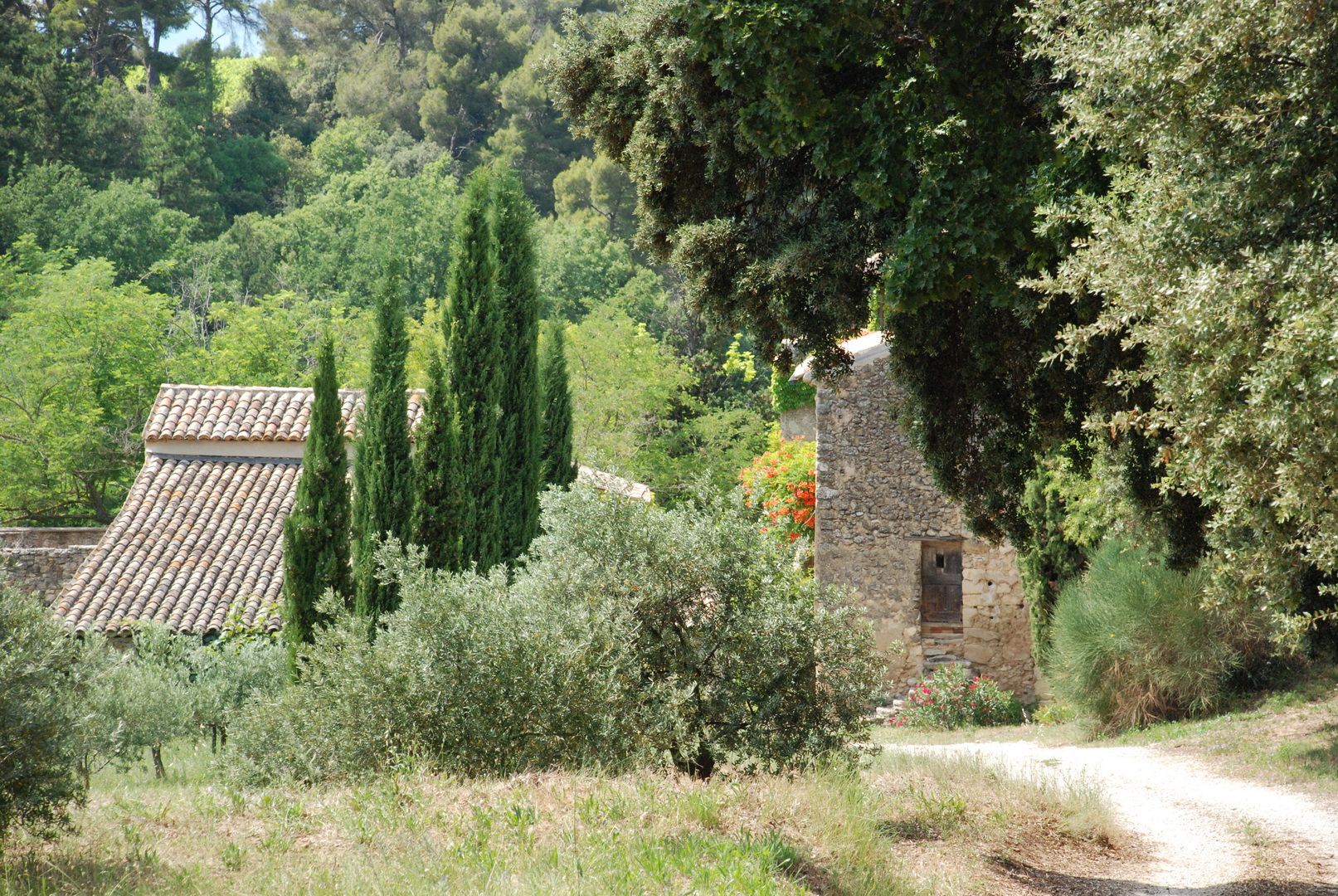 Séjour en Provence au Domaine Les Perpetus (2)