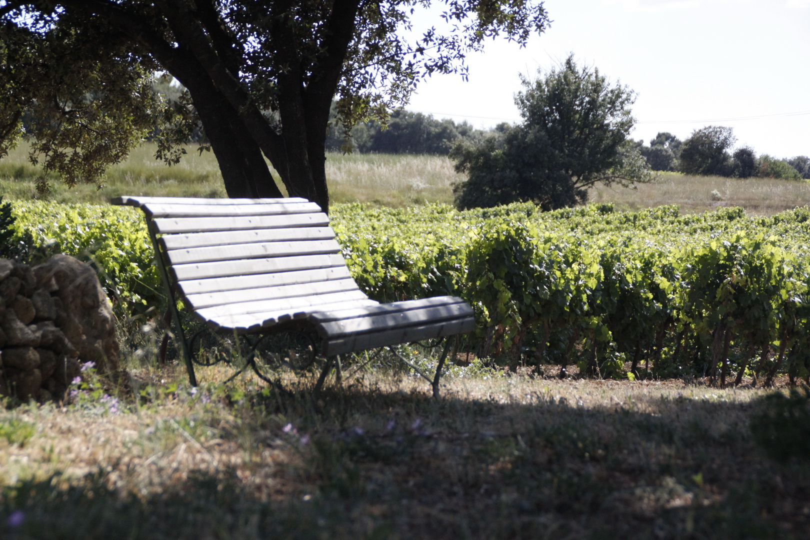 Séjour en Provence au Domaine Les Perpetus