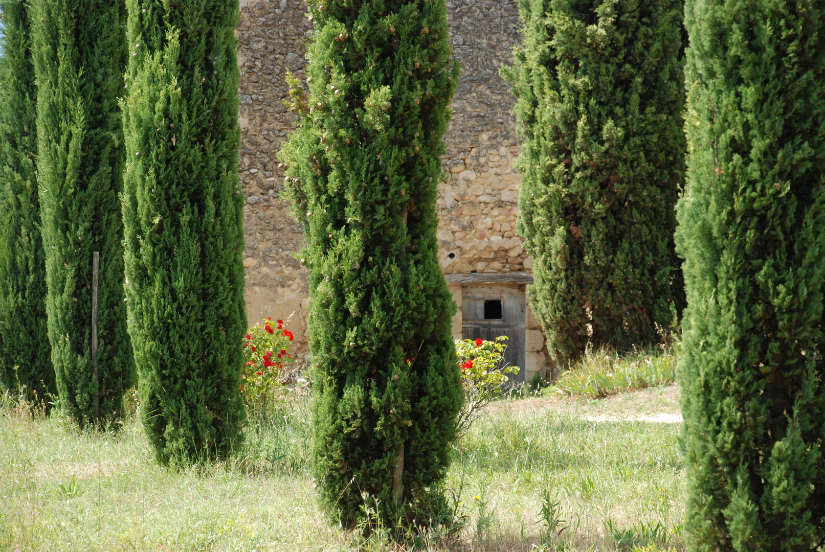 Tourisme dans le Luberon au Domaine Les Perpetus